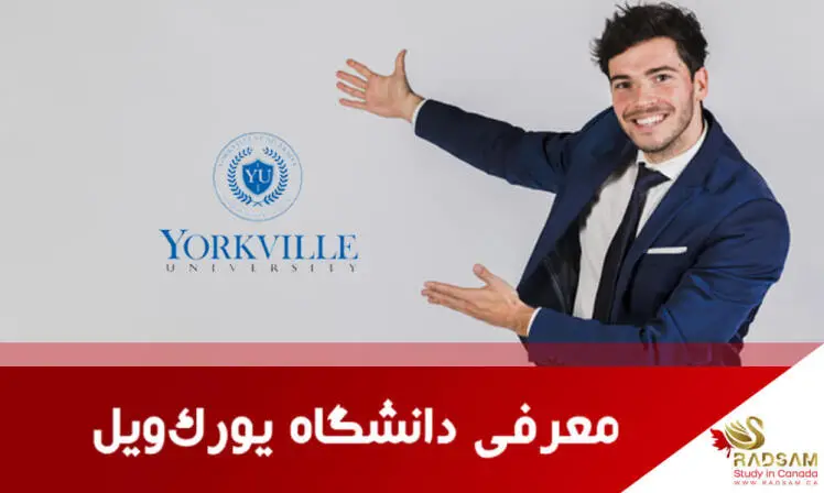 11 مزیت تحصیل در دانشگاه یورک ویل کانادا ویژه رادسام